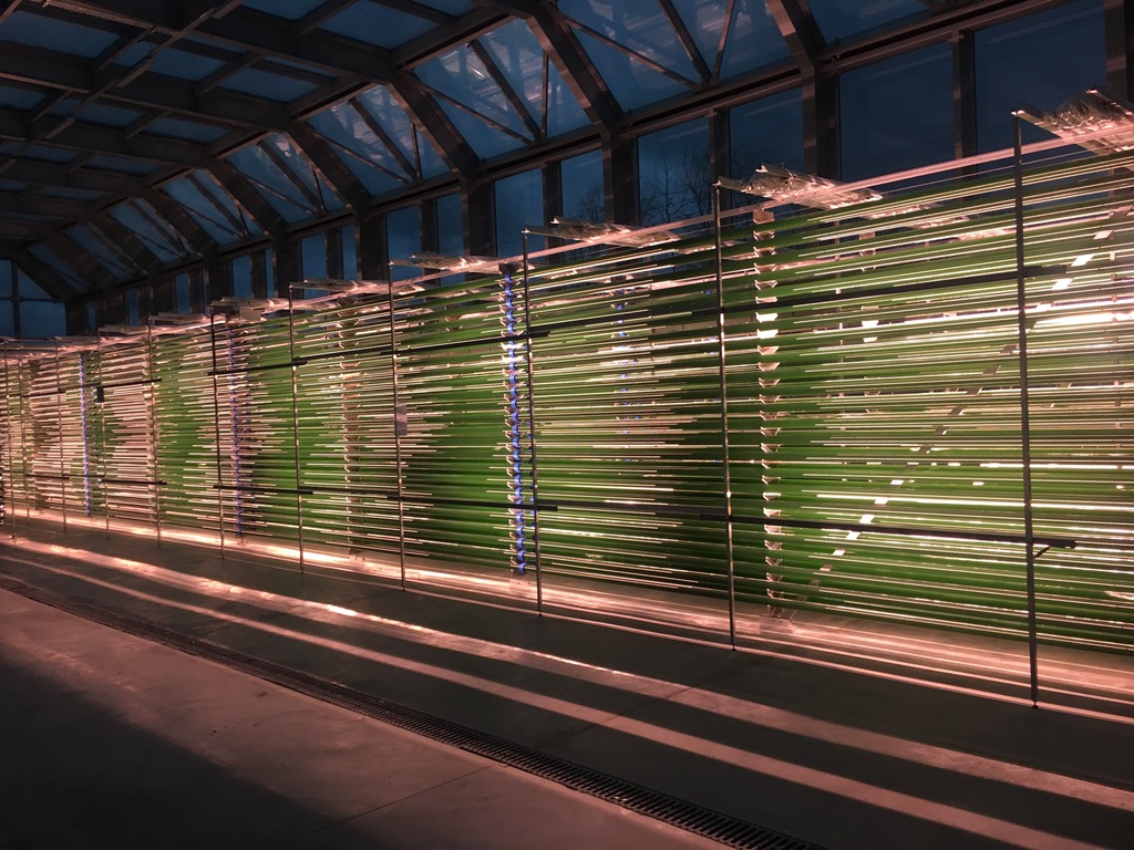 Mikroyosun Biyoteknojileri Ar-Ge Birimi