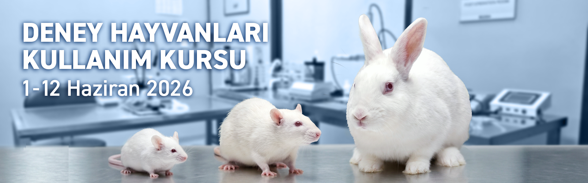 LifeSci - Boğaziçi CT³ Deney Hayvanları Kullanım Kursu